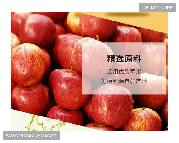 壹号app官方入口网站苹果版本下载安装最新教程推荐