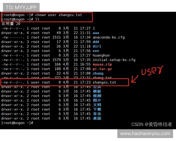 利用二维码、官网和应用市场多种方式下载壹号应用的完整流程