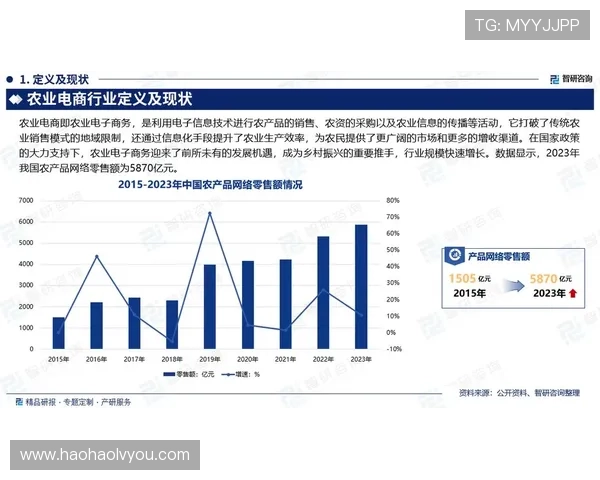壹号网站：全面解析最新的电子商务发展趋势与创新